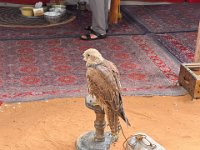 Naher Osten 2025 - 38